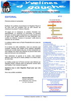 YaG13_Page_01-small.jpg